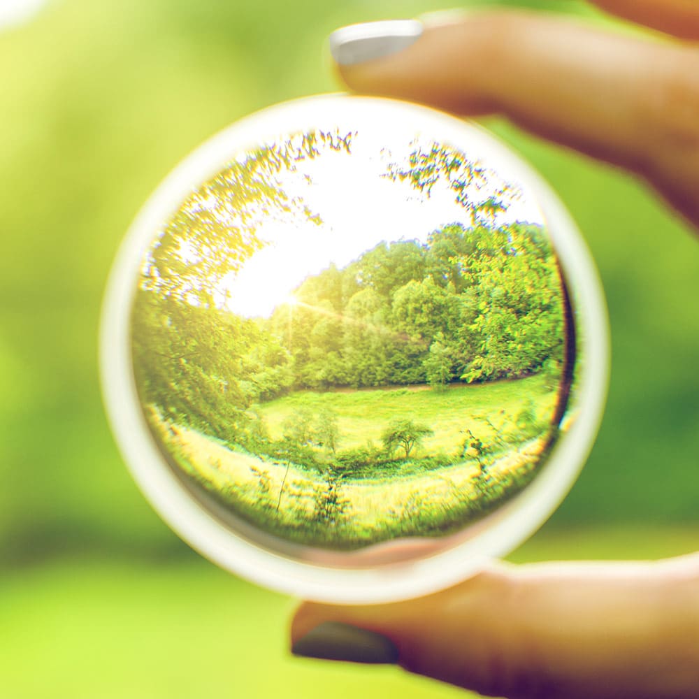 Home Integrity Wealth Advisors